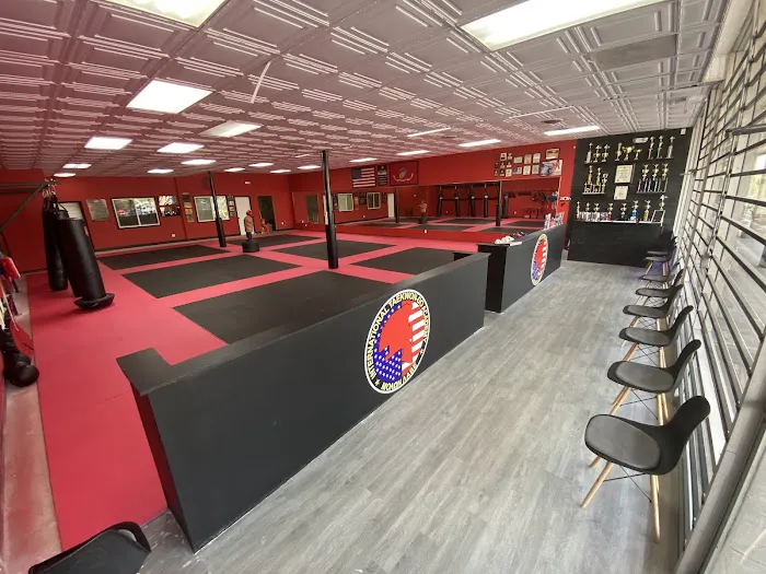 International Taekwon-Do Academy Picture 10