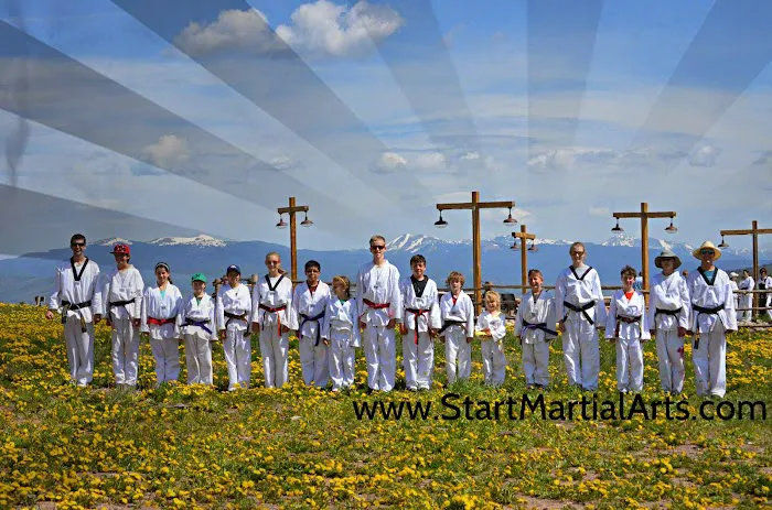 Colorado Taekwondo Institute Picture 4