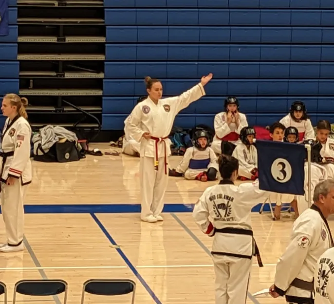 Colorado Taekwondo Institute Picture 10