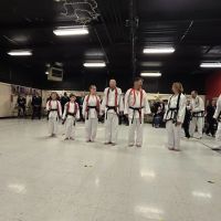Sereff Taekwon-Do ico
