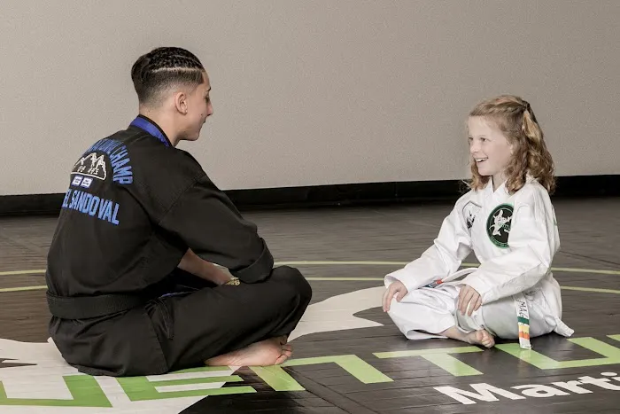 Venture Martial Arts Picture 5