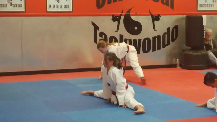 Universal Tae Kwon DO Picture 3