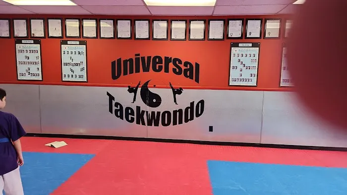 Universal Tae Kwon DO Picture 7