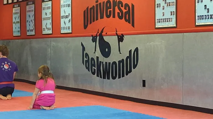 Universal Tae Kwon DO Picture 10