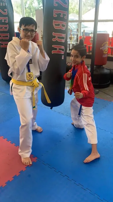 Reunion TKD Picture 8