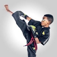 Premier Martial Arts Brighton ico