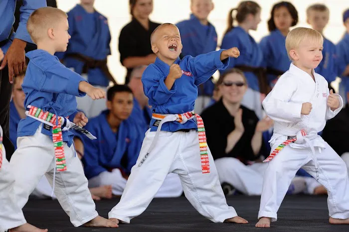 Mile High Karate Picture 2