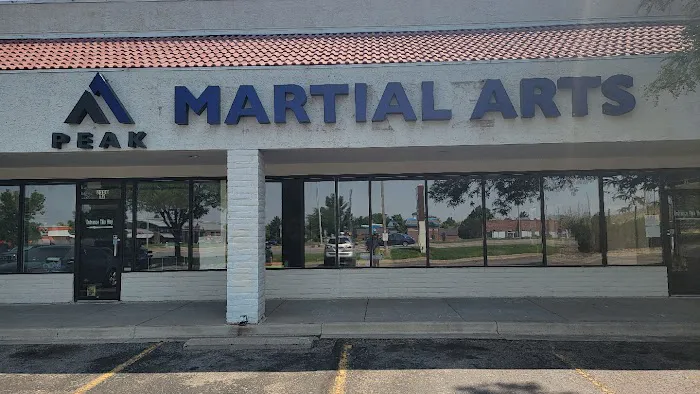 Peak Martial Arts Academy Picture 1