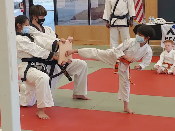 Peak Martial Arts Academy Picture 2