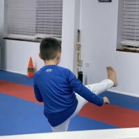 Colorado Karate Club ico