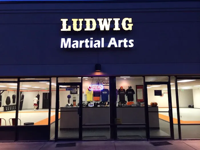 Ludwig Martial Arts / BANG Muay Thai Picture 3