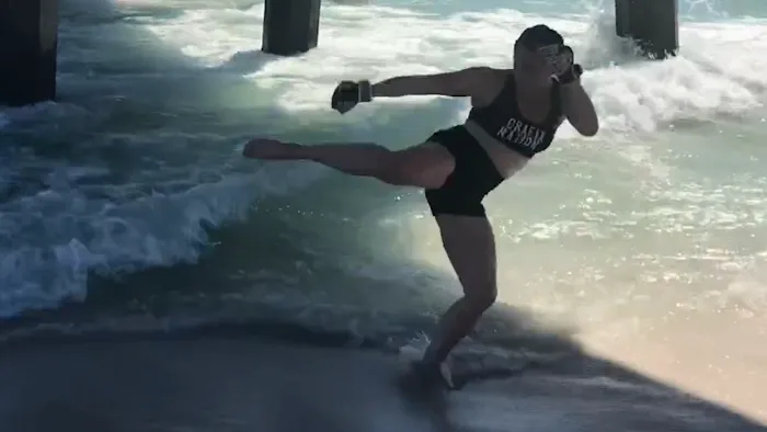 FusBoxe Sambo 1 Martial Arts Picture 1