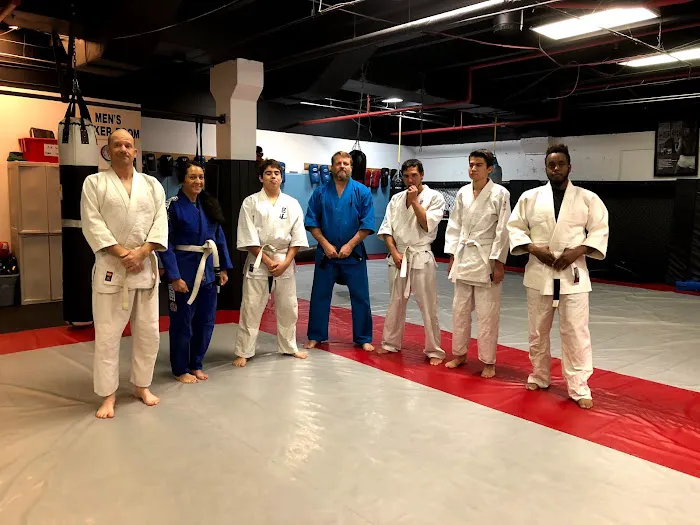 FusBoxe Sambo 1 Martial Arts Picture 2