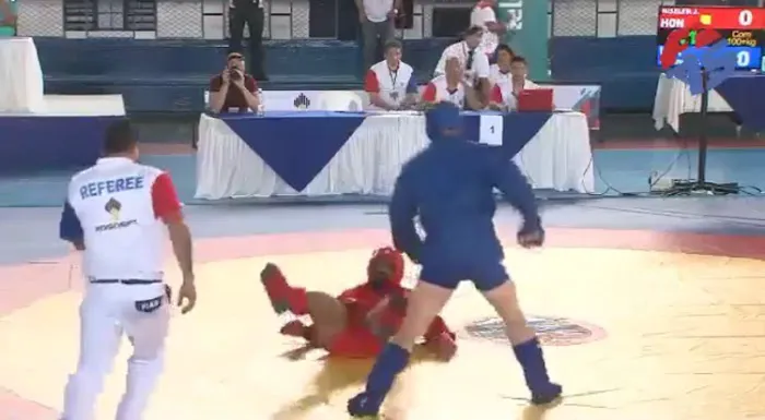 FusBoxe Sambo 1 Martial Arts Picture 4