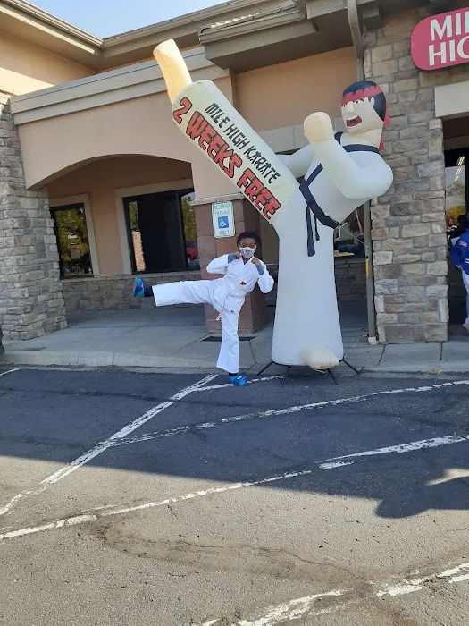 Mile High Karate Picture 1