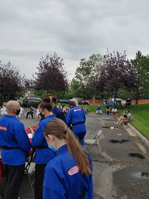 Mile High Karate Picture 3