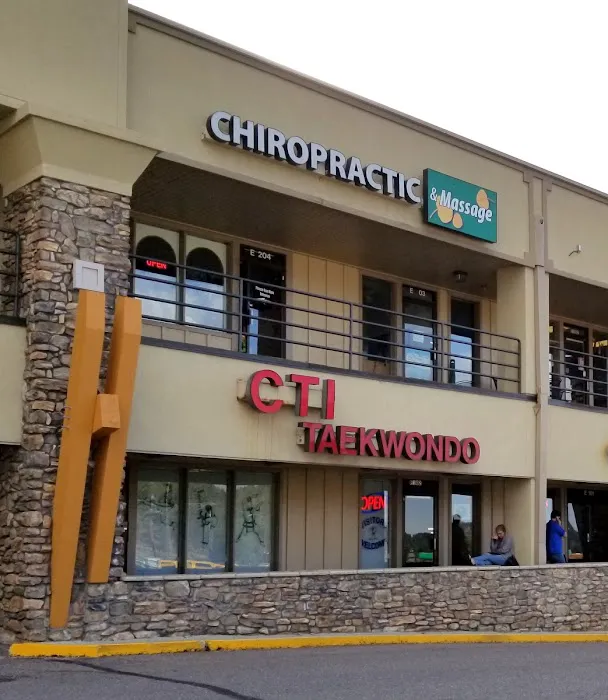 Colorado Taekwondo Institute Picture 4