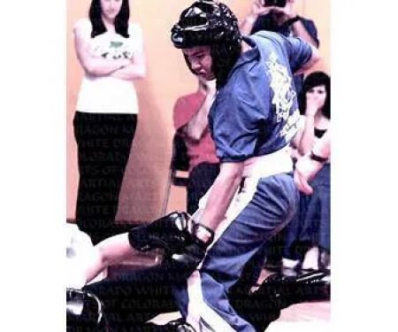 Pai Lum White Dragon Martial Arts