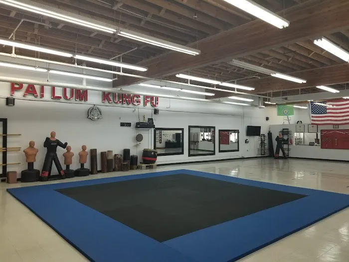 Pai Lum White Dragon Martial Arts Picture 3