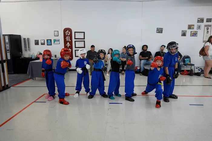 Pai Lum White Dragon Martial Arts Picture 4