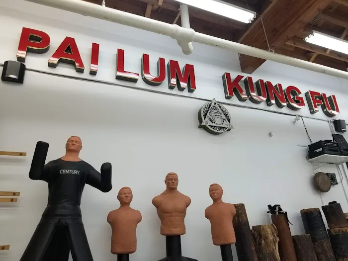 Pai Lum White Dragon Martial Arts Picture 5