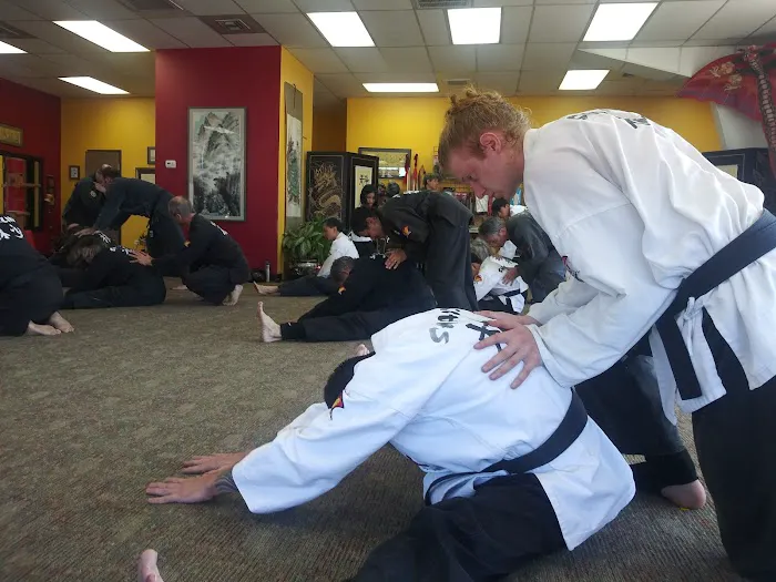 Shao-Lin Kung Fu & T'ai Chi Picture 1