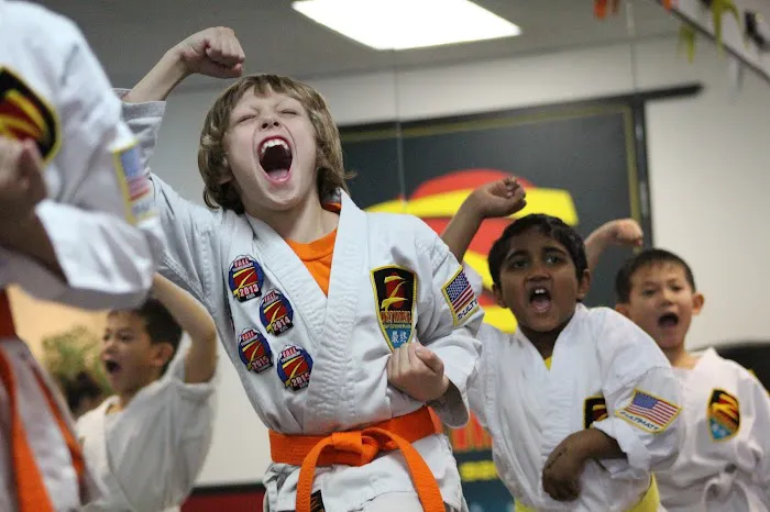 Z-Ultimate Self Defense Studios Picture 1