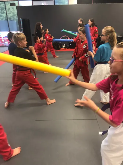 Vision Quest Martial Arts Picture 5