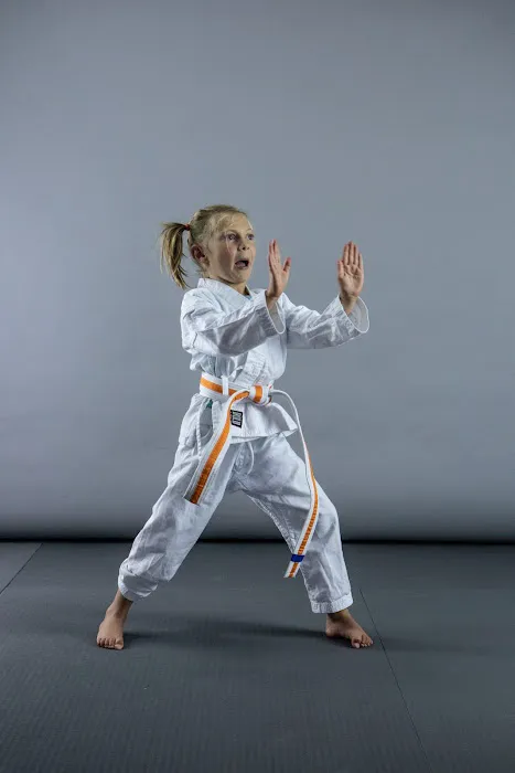 Vision Quest Martial Arts Picture 6