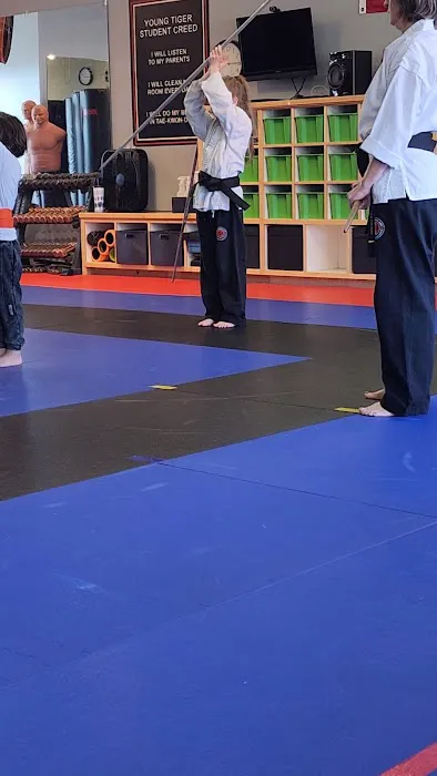 Schilz Martial Arts Picture 6