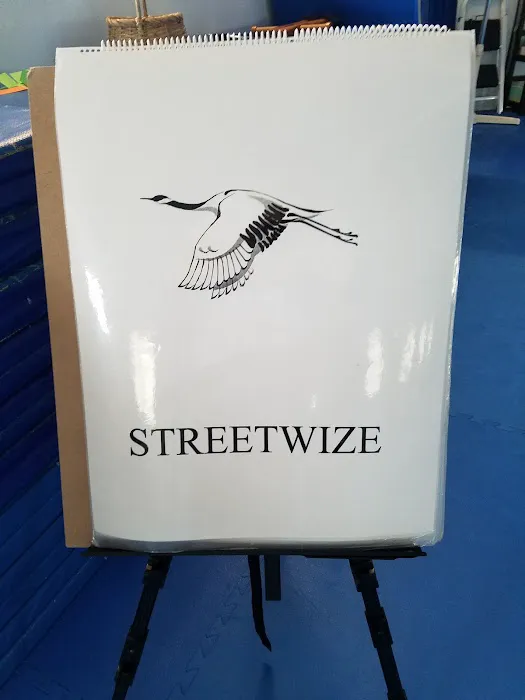 Way of the Crane Martial Arts and Streetwize Self Defense Picture 3