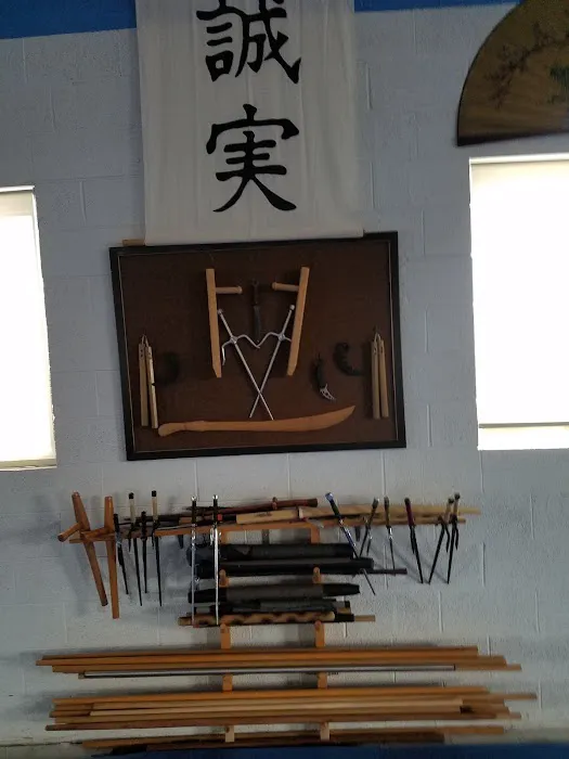 Way of the Crane Martial Arts and Streetwize Self Defense Picture 5