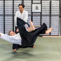 Boulder Ki Aikido Martial Arts ico