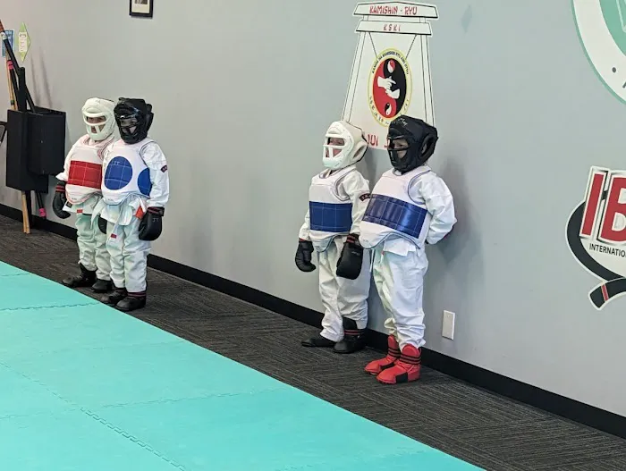 Ohana Martial Arts Academy Picture 6