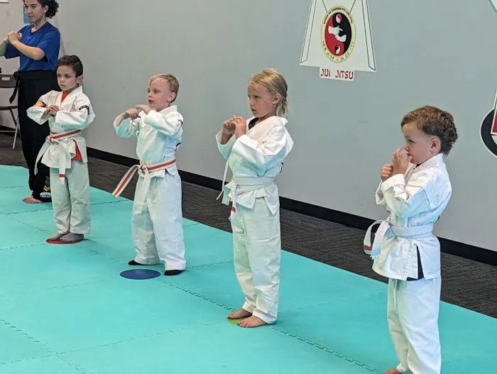 Ohana Martial Arts Academy Picture 7