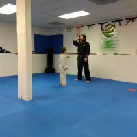 Peak Potential Martial Arts ico