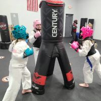 Integrity Martial Arts ico