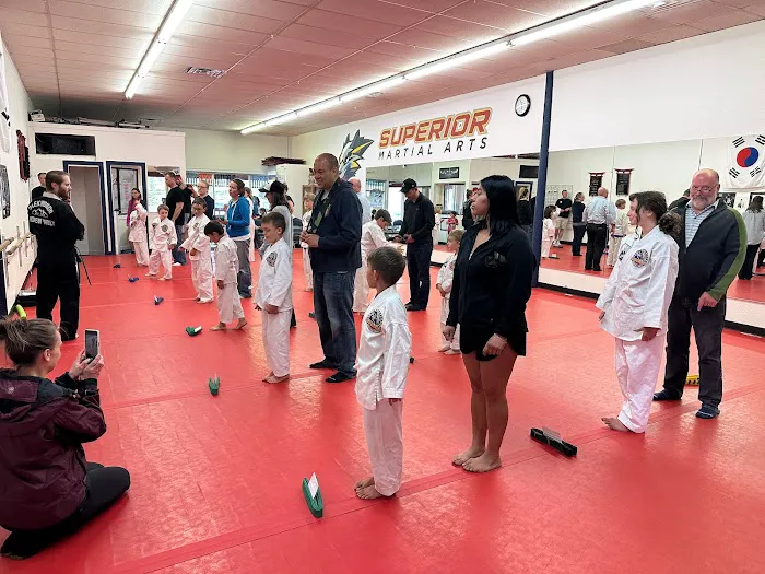 Superior Martial Arts Picture 1