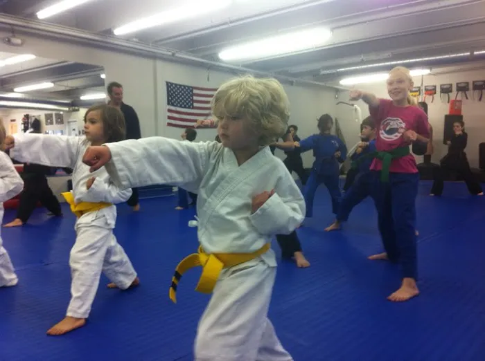 Wolchek Academy of Martial Arts Picture 5
