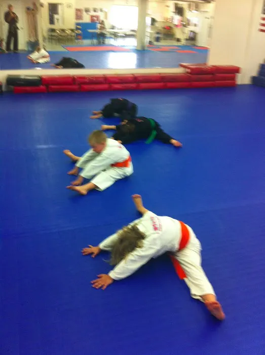 Wolchek Academy of Martial Arts Picture 1