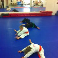 Wolchek Academy of Martial Arts ico