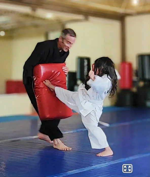 Wolchek Academy of Martial Arts Picture 3