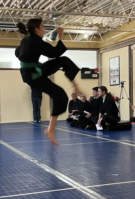 Wolchek Academy of Martial Arts Picture 8