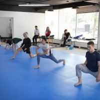 InSeng Taekwondo ico