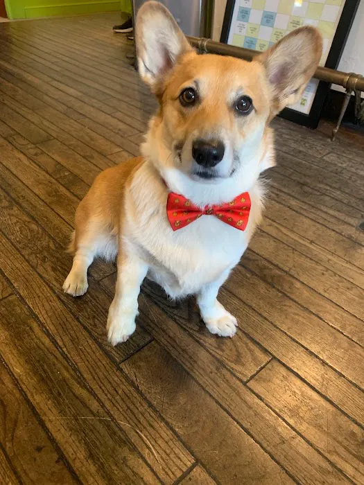 Mountains' Edge Fitness Picture 5