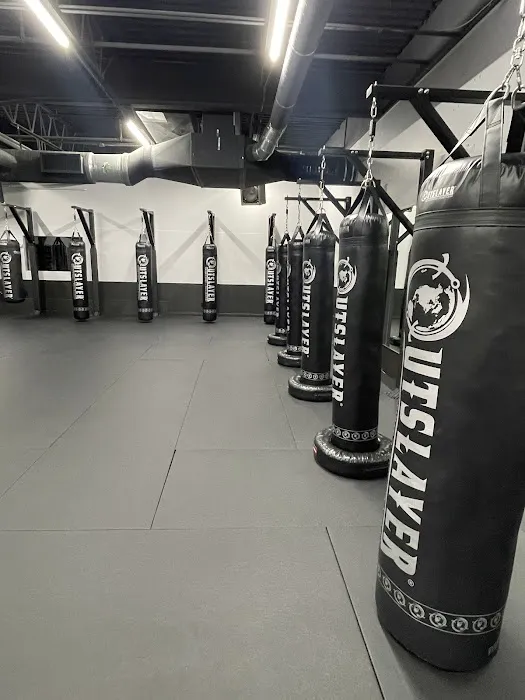 OMNI Martial Arts & Fitness Picture 8