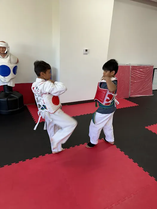 Peak Taekwondo Picture 2