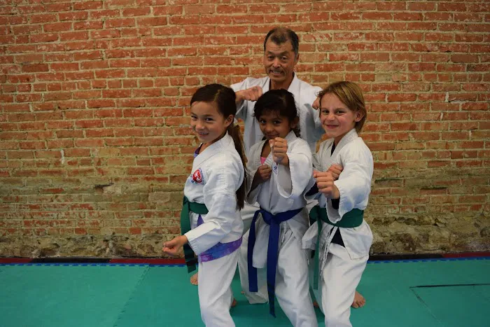 Longmont Wado-Kai Karate Picture 7