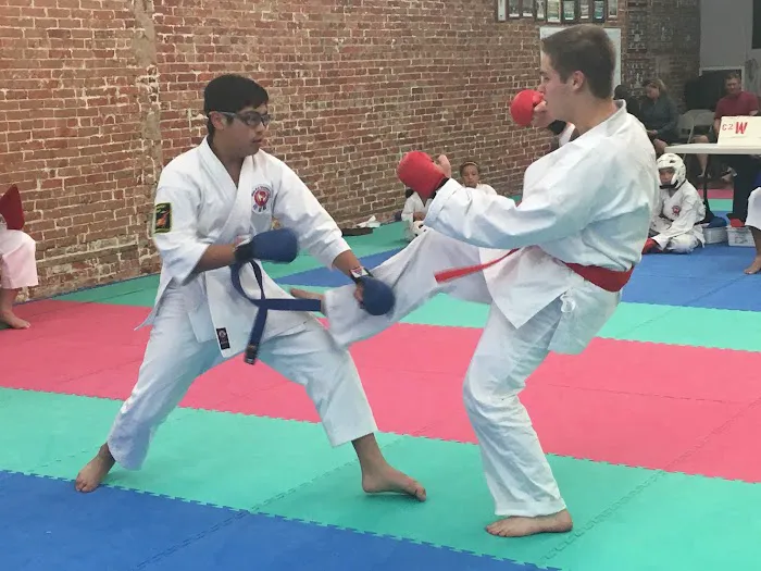 Longmont Wado-Kai Karate Picture 6