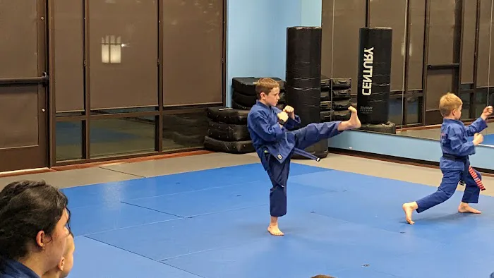 Ripple Effect Martial Arts Picture 2